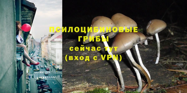 кокаин премиум Беломорск