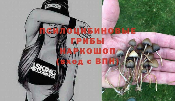 синтетический гашиш Белоозёрский