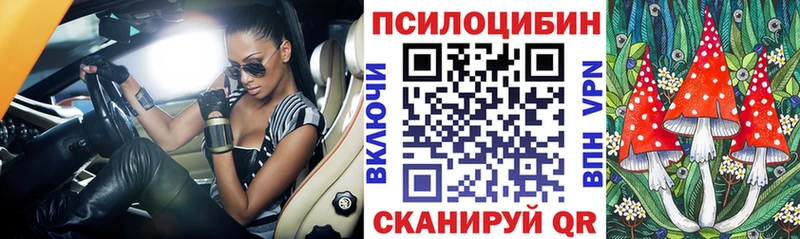 Галлюциногенные грибы мицелий  Гусев 